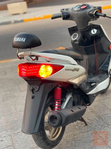 سكنس فحل نوزل خطين للبيع في بغداد