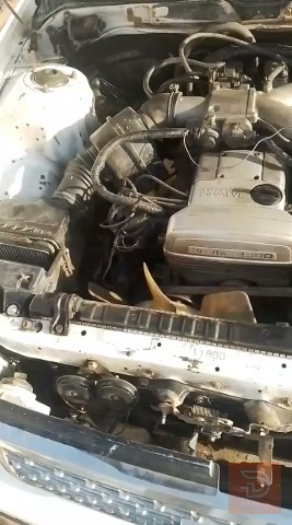 شيزر 1991 للبيع