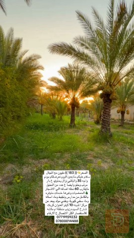 دونم أرض مع دار للبيع في كربلاء