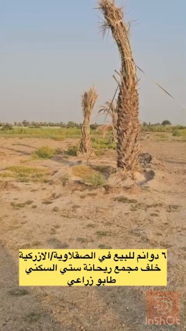 دوانم طابو زراعي للبيع