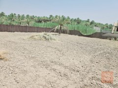 قطعة أرض 625 متر للبيع في كربلاء