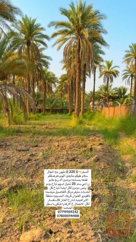 قطعة أرض زراعية للبيع في كربلاء