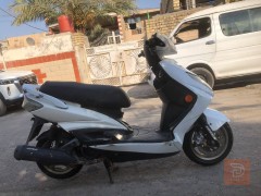 سكنس فحل للبيع في بغداد