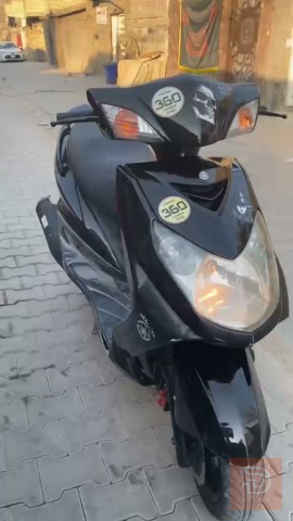 سكنس فحل كابريتر للبيع في بغداد