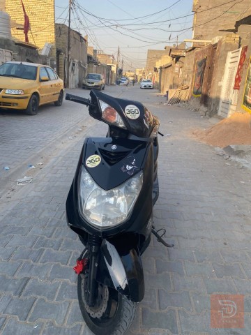 سكنس فحل كابريتر للبيع في بغداد