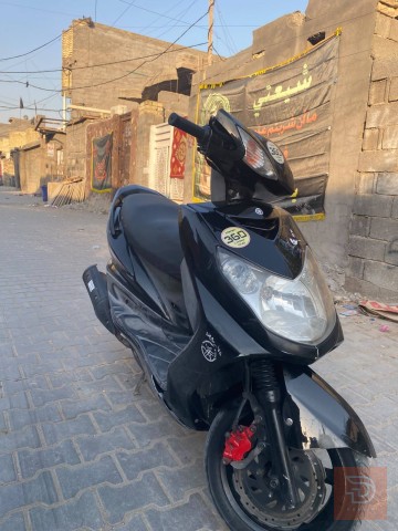 سكنس فحل كابريتر للبيع في بغداد