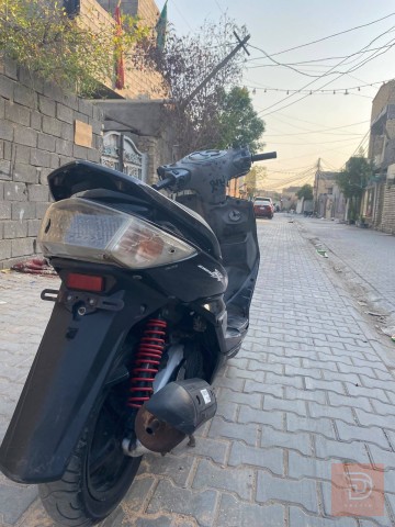 سكنس فحل كابريتر للبيع في بغداد
