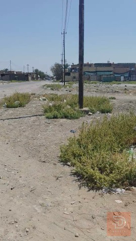 قطعة أرض في سبع البور 125 للبيع في بغداد