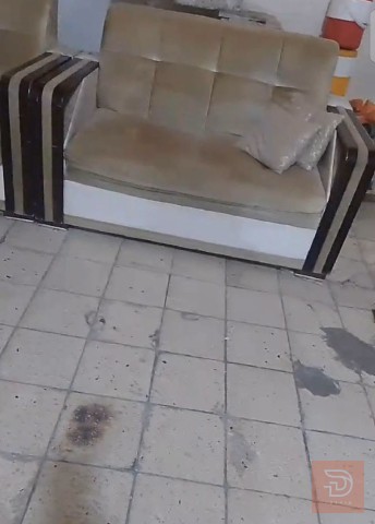 تخم تسگام للبيع في واسط