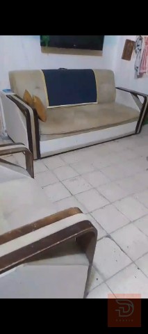 تخم تسگام للبيع في واسط