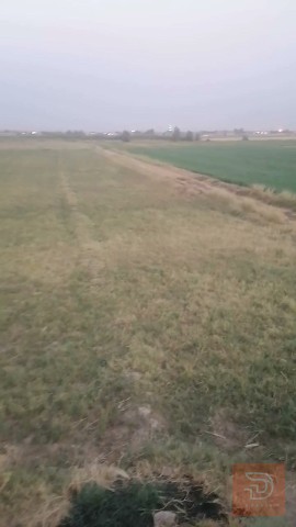 دوانم في الرمادي زنكور 30 دونم للبيع في الأنبار