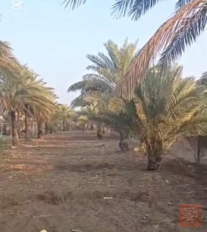 دونمات في منطقة ابو زرع للبيع في بغداد