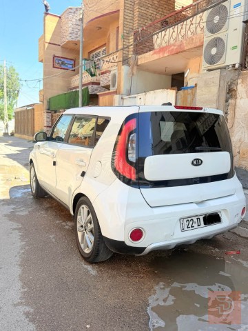 صول 2017 صبغ عام للبيع في أربيل