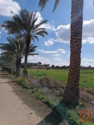 اراضي زراعية 3 دوانم للبيع في بغداد