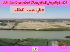 اراضي زراعية 50 دونم للبيع في الأنبار