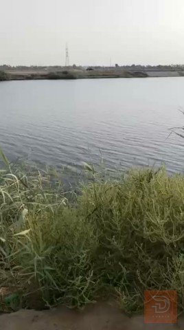 مطلوب دونم في الصقلاوية في الأنبار