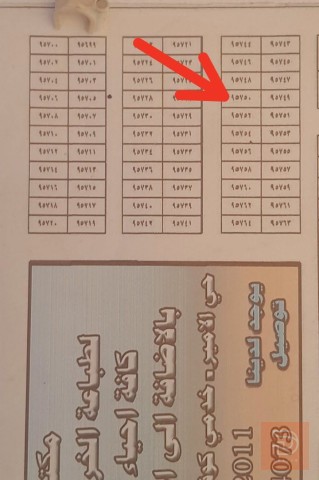 عرصة طابو صرف في حي الهرموش 100متر للبيع في النجف الأشرف