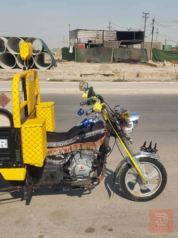 ستوتة صقر ام الطير 2026 للبيع في بغداد