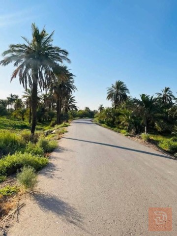 اراضي في منطقة العيساوية 30 دونم للبيع في بغداد