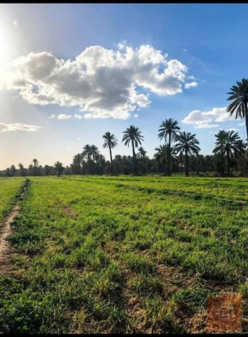 اراضي في منطقة العيساوية 30 دونم للبيع في بغداد