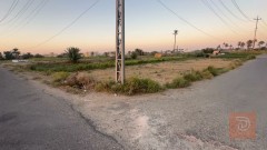 قطعة أرض 1000 متر في الرمادي للبيع في الأنبار