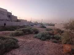 أرض في أبو الخصيب - أبو گوصرة 1350 متر مربع للبيع في البصرة