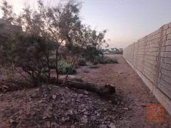 أرض في أبو الخصيب - أبو گوصرة 1350 متر مربع للبيع في البصرة