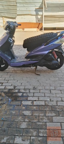 سكنس فحل ياباني قبق نفخ للبيع في بغداد