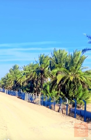مزرعة في بغداد ابو غريب 2 دونم للبيع