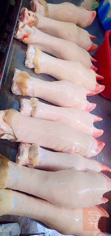 كراعين عجل للبيع في ميسان
