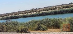 أرض زراعية 45×55 مربع للبيع في بغداد