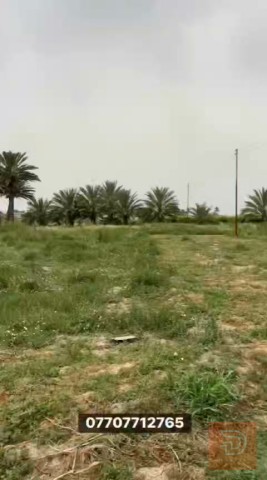 قطع اراضي 200 متر سند 25 للبيع في بغداد