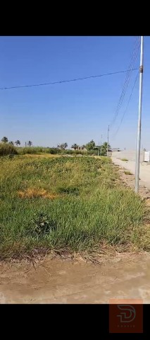 دونم طابو زراعي مع حقل دواجن للبيع في الأنبار