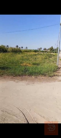 دونم طابو زراعي مع حقل دواجن للبيع في الأنبار
