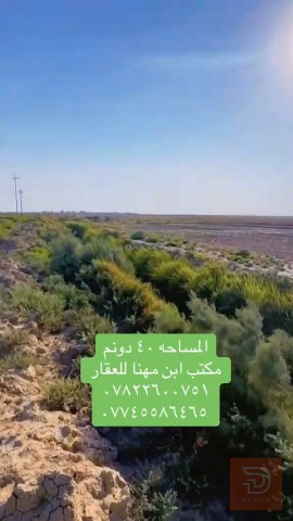 اراضي زراعية 40 دونم في واسط للبيع