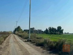 كاع دوانم لبيع في الفلوجة 10 دوانم للبيع في الأنبار