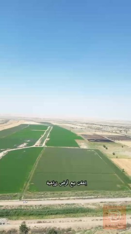 اراضي زراعية 130 دونم للبيع في الأنبار