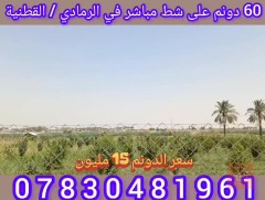 60 دونم أرض زراعية في الرمادي للبيع في الأنبار