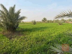 اراضي 4 دونم للبيع في بغداد