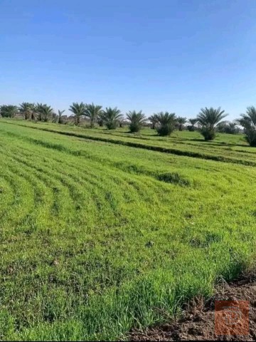 اراضي 4 دونم للبيع في بغداد