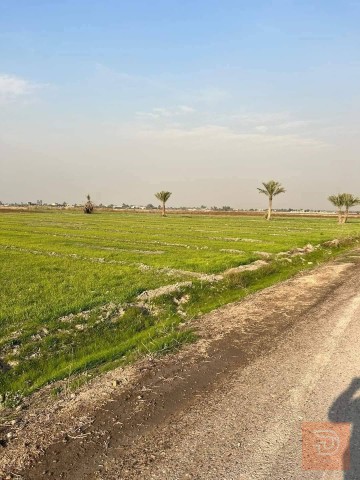 اراضي مساحة 5 دونمات في التاجي للبيع في بغداد