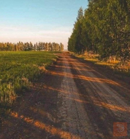 أرض 5 دونم للبيع في بغداد