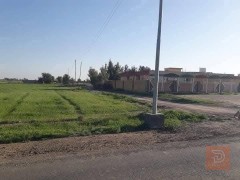 دونم 2500 متر او 5000 متر للبيع في بغداد