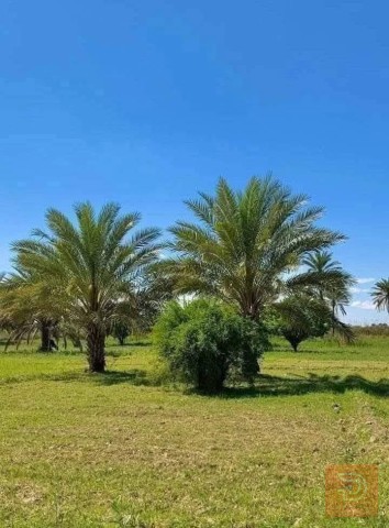 دونم 2500 متر او 5000 متر للبيع في بغداد
