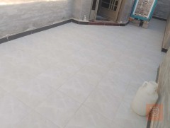 بيت بناء حديث مساحة ٣٠٠ م للبيع في واسط