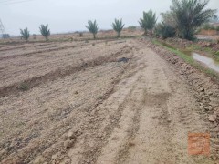 دونم سكني سند 25 للبيع في النجف الأشرف