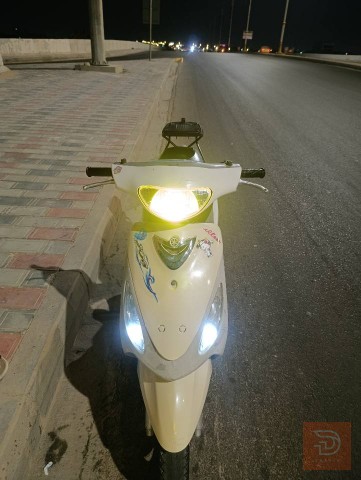 ماكس منغولي رصاصي للبيع في ميسان