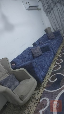 تخم تركي للبيع في النجف الأشرف