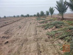 نصف دونم أرض طابو سند 25 للبيع في بابل