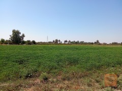 دونم طابو زراعي في اليوسفية للبيع في بغداد